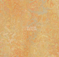 Линолеум Forbo Marmoleum Marbled Vivace 3411-341135 sunny day фото 1 | FLOORDEALER